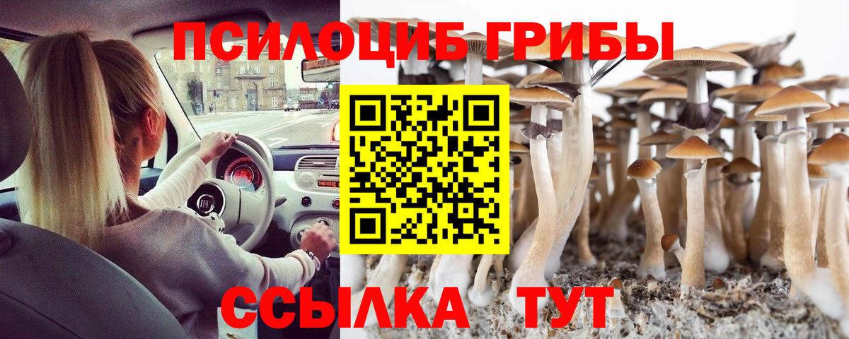 Псилоцибиновые грибы Magic Shrooms Великие Луки